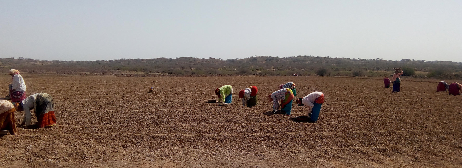 S Chem Minerals Limited S Chem Minerals Limited